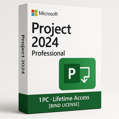 Project 2024 Professional Lifetime Access Key for 1 PC Bind License